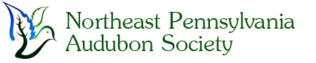 Northeast Pennsylvania Audubon Society